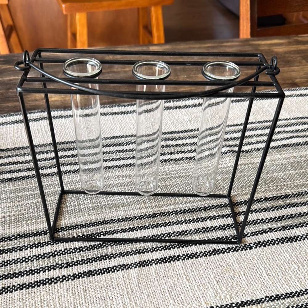 Sleek Black Metal Test Tube Vase Stand